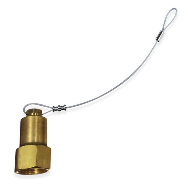 CGA 580 Inlet Plug Assembly